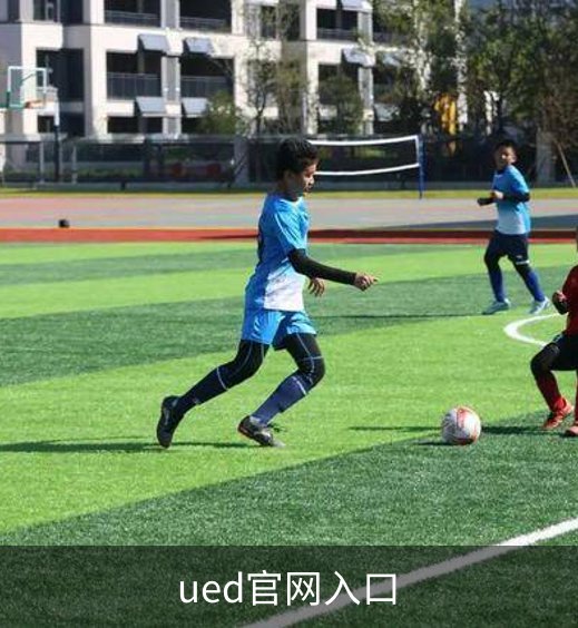 ued官网入口概况